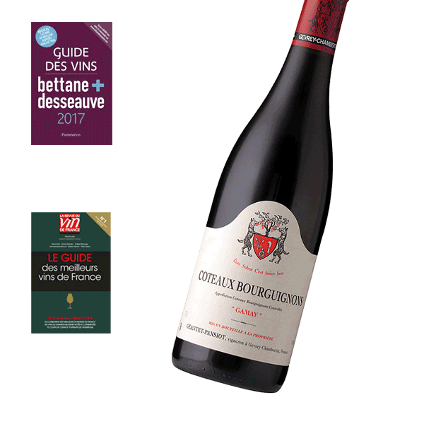 Bourgogne Coteaux Bourguignons - Geantet Pansiot 2019